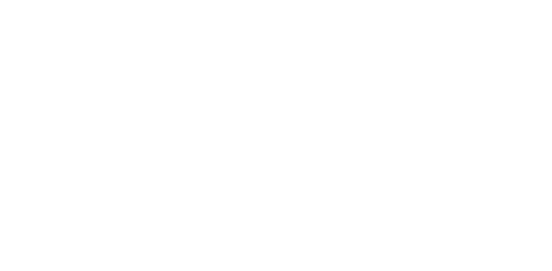 Rays Beşiktaş Logo